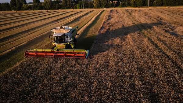 UE evalúa subvencionar el transporte para la exportación de cereales de Ucrania UE evalúa subvencionar el transporte para la exportación de cereales de Ucrania