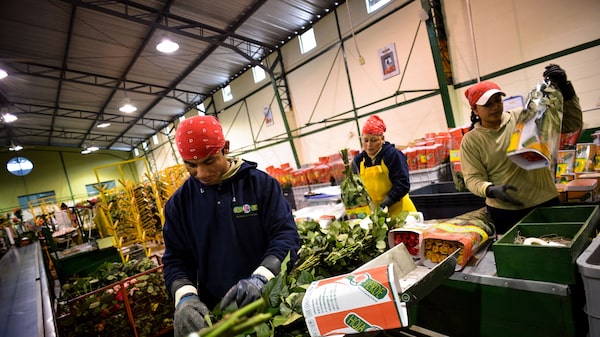 Inflación de Ecuador cayó al 1,35% interanual en enero de 2024 Inflación de Ecuador cayó al 1,35% interanual en enero de 2024