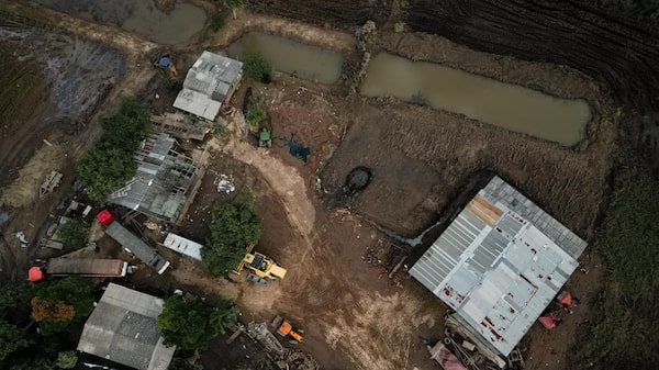 El Niño ameaça agravar crise dos produtores de arroz no Rio Grande do Sul El Niño ameaça agravar crise dos produtores de arroz no Rio Grande do Sul
