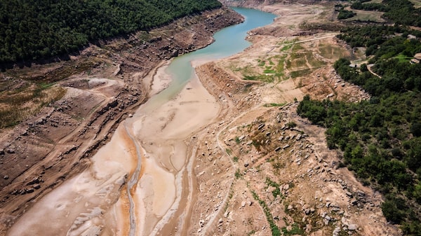 La policía española busca reprimir pozos de agua ilegales en medio de sequía La policía española busca reprimir pozos de agua ilegales en medio de sequía