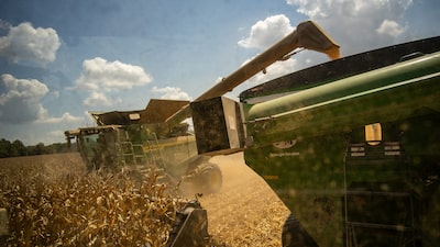 Traders dos EUA miram exportação de fertilizantes nitrogenados com guerra no Irã Traders dos EUA miram exportação de fertilizantes nitrogenados com guerra no Irã