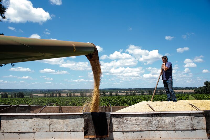 Homem observa despejo de grãos em silo Homem observa despejo de grãos em silo