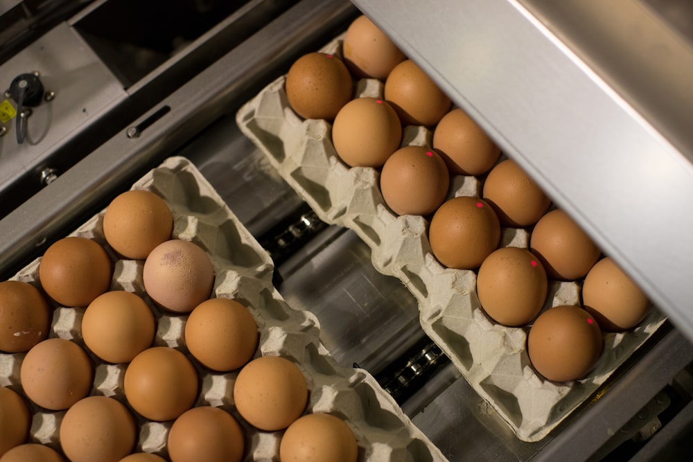 Mantiqueira produz 1,3 bilhão de ovos por ano nos EUA e 4 bilhões no Brasil. (Foto: Jasper Juinen/Bloomberg) Mantiqueira produz 1,3 bilhão de ovos por ano nos EUA e 4 bilhões no Brasil. (Foto: Jasper Juinen/Bloomberg)