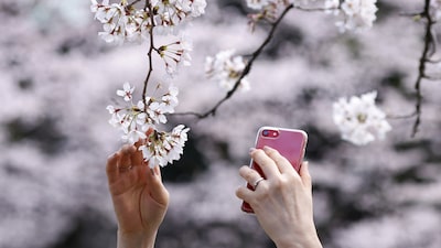 Hoteles en Japón alcanzan precios máximos en 27 años mientras un yen débil atrae a un récord de turistas Hoteles en Japón alcanzan precios máximos en 27 años mientras un yen débil atrae a un récord de turistas