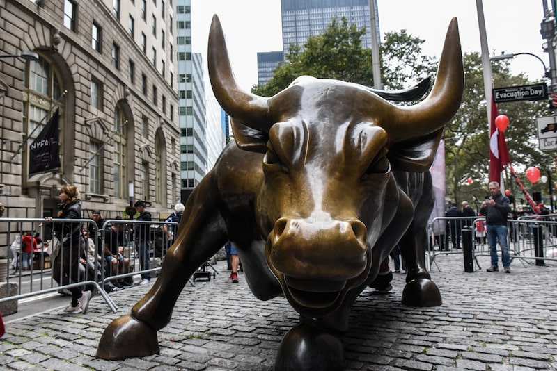 Bull Bull