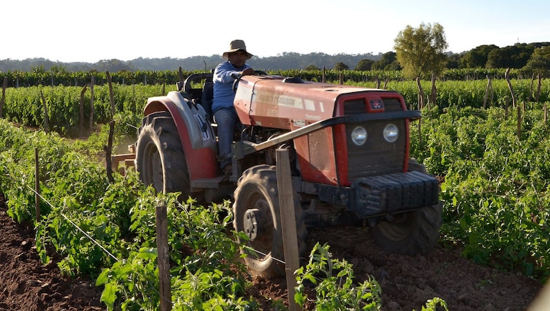 Líderes de la región analizan cómo acelerar el comercio regional e internacional para el desarrollo inclusivo y sustentable. Líderes de la región analizan cómo acelerar el comercio regional e internacional para el desarrollo inclusivo y sustentable.