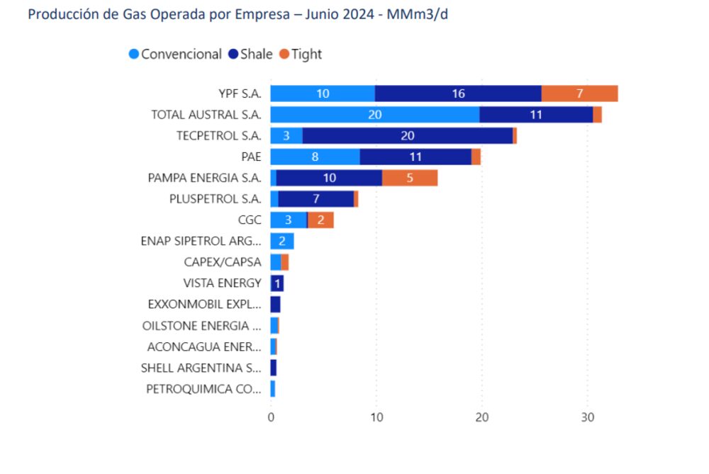 Vaca Muerta Vaca Muerta