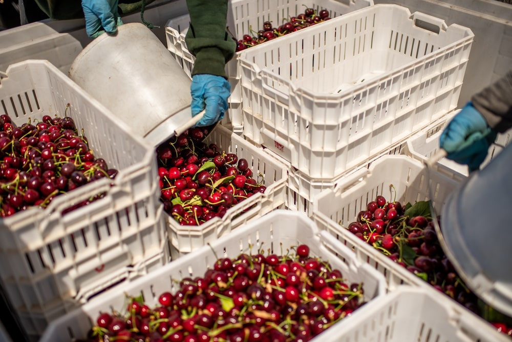 Fotógrafo: Cristóbal Olivares/Bloomberg. Fotógrafo: Cristóbal Olivares/Bloomberg.