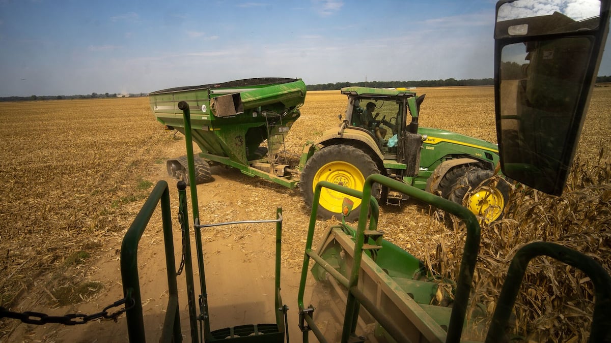 Indigo firma acordo de carbono com a Microsoft nos EUA. Próxima fronteira é o Brasil