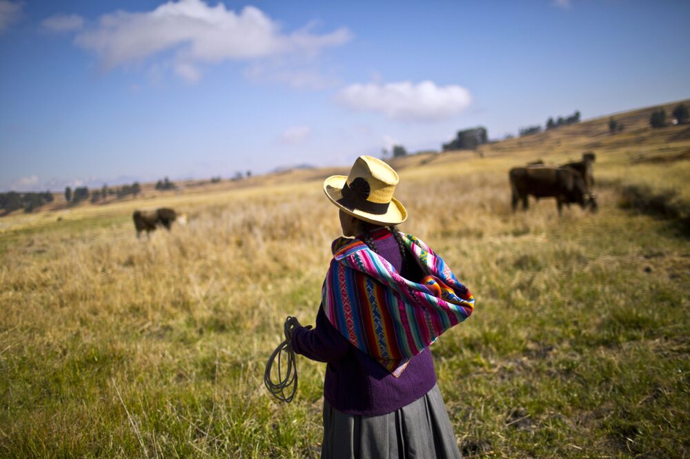 La medición de la pobreza genera controversia en Perú. La medición de la pobreza genera controversia en Perú.