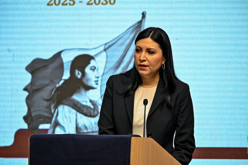 Victoria Rodríguez Ceja, gobernadora de Banxico, durante la presentación de la Política Nacional de Inclusión Financiera 2025-2030, el miércoles 26 de noviembre en Cudad de México. Victoria Rodríguez Ceja, gobernadora de Banxico, durante la presentación de la Política Nacional de Inclusión Financiera 2025-2030, el miércoles 26 de noviembre en Cudad de México.