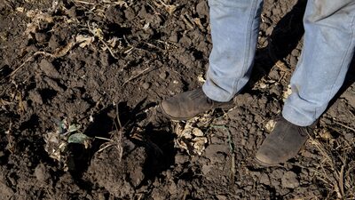 Climate Disasters in LatAm Imperil Global Food Security Climate Disasters in LatAm Imperil Global Food Security