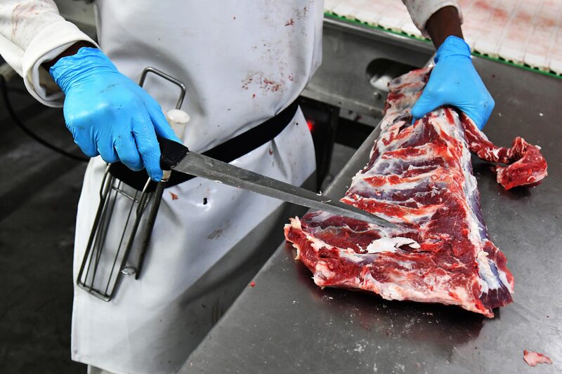 Pouco mais de 12 milhões de cabeças “fugiram” do controle fiscal e sanitário de Estados, municípios e da federação em 2020. Pouco mais da metade dos abates do país são aptos para exportação Pouco mais de 12 milhões de cabeças “fugiram” do controle fiscal e sanitário de Estados, municípios e da federação em 2020. Pouco mais da metade dos abates do país são aptos para exportação