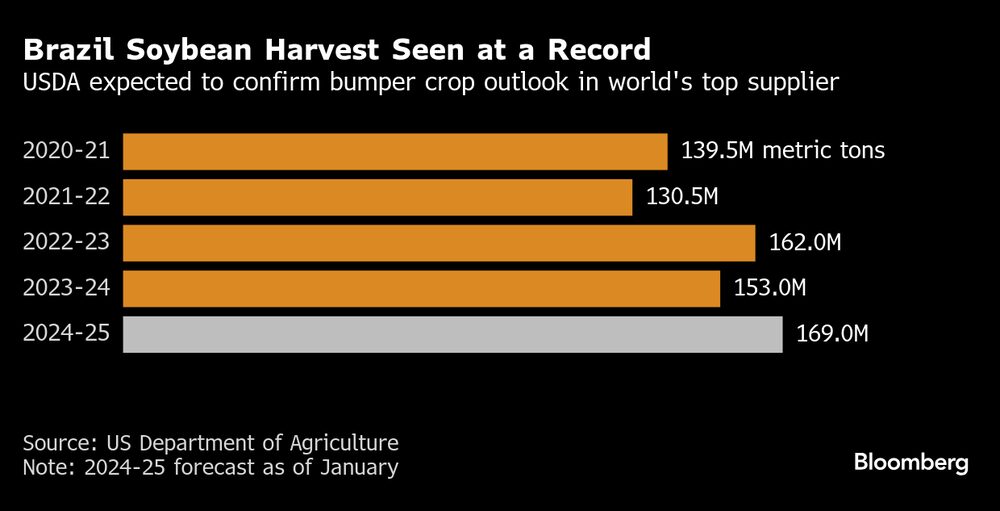 La cosecha de soja de Brasil se vislumbra como un récord. La cosecha de soja de Brasil se vislumbra como un récord.