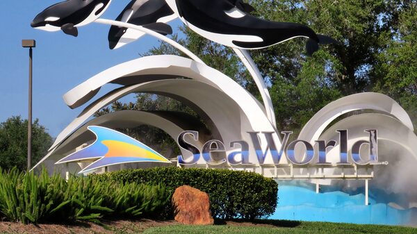 SeaWorld y Universal cierran sus parques temáticos de Florida ante la amenaza de Milton SeaWorld y Universal cierran sus parques temáticos de Florida ante la amenaza de Milton