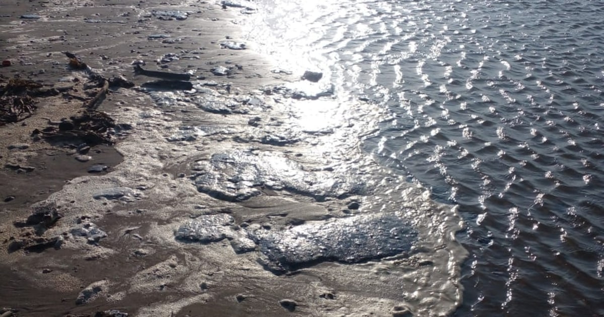 PEMEX: DERRAME PETROLERO Y CAMBIOS DIRECTIVOS