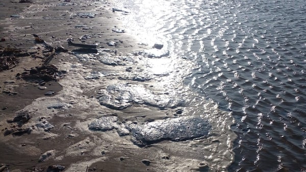 CEO de Pemex admite omisiones por derrame petrolero y despide directivos CEO de Pemex admite omisiones por derrame petrolero y despide directivos