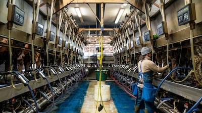 Solicitudes de subsidio de desempleo en EE.UU. suben a 214.000 mientras hay pocos despidos Solicitudes de subsidio de desempleo en EE.UU. suben a 214.000 mientras hay pocos despidos