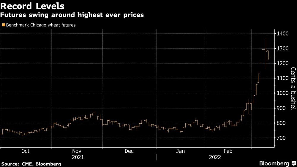 Trigo al alza Trigo al alza