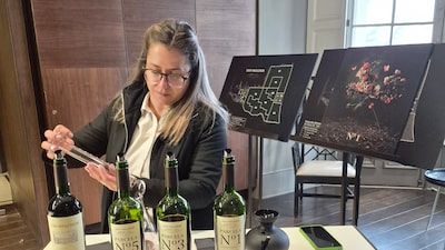 A era do vinho parcelado: como a Don Melchor dividiu o vinhedo e criou um ícone chileno A era do vinho parcelado: como a Don Melchor dividiu o vinhedo e criou um ícone chileno