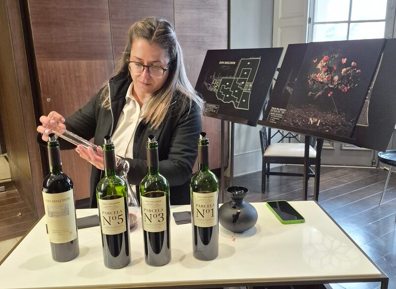 A era do vinho parcelado: como a Don Melchor dividiu o vinhedo e criou um ícone chileno A era do vinho parcelado: como a Don Melchor dividiu o vinhedo e criou um ícone chileno