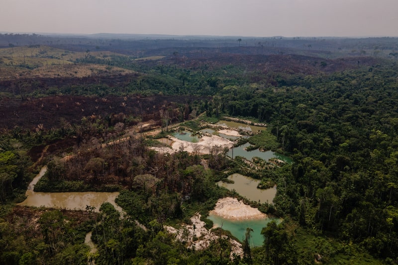La subida del precio del oro lleva a los narcos a la minería ilegal en la Amazonía La subida del precio del oro lleva a los narcos a la minería ilegal en la Amazonía