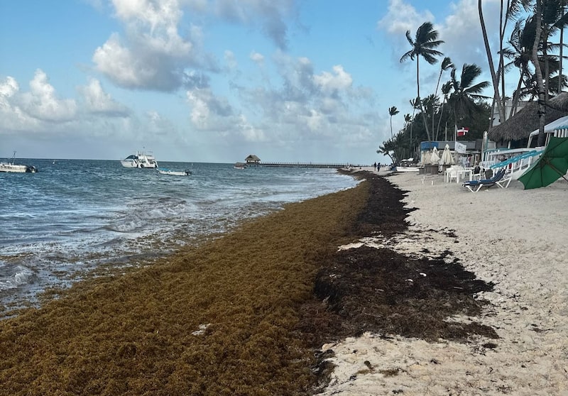Sargazo en República Dominicana Sargazo en República Dominicana