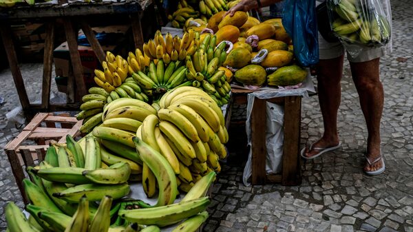 IPCA-15 sobe 0,43% em abril, abaixo da expectativa, puxado pela alta dos alimentos IPCA-15 sobe 0,43% em abril, abaixo da expectativa, puxado pela alta dos alimentos