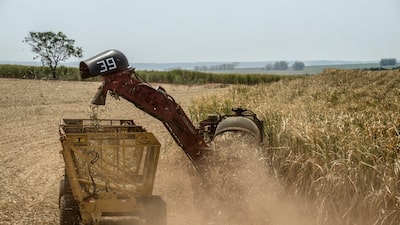 BrasilAgro sente efeito da cana, mas vê recuperação à frente com grãos e gado, diz CFO BrasilAgro sente efeito da cana, mas vê recuperação à frente com grãos e gado, diz CFO