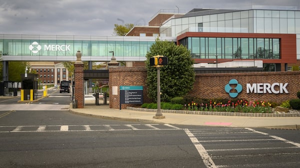 MSD negocia compra da Terns em acordo que pode chegar a US$ 6 bilhões, dizem fontes MSD negocia compra da Terns em acordo que pode chegar a US$ 6 bilhões, dizem fontes