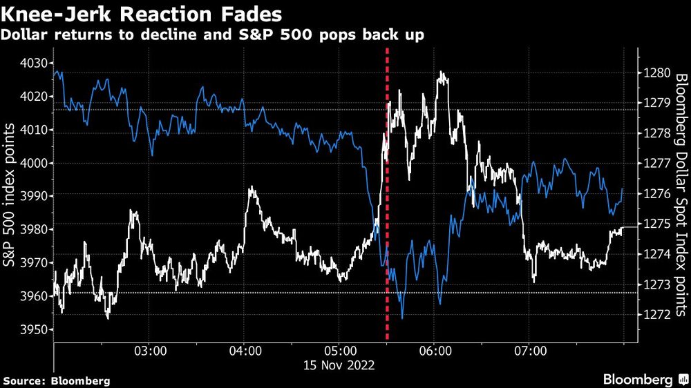 La reacción brusca de la rodilla se desvanece La reacción brusca de la rodilla se desvanece