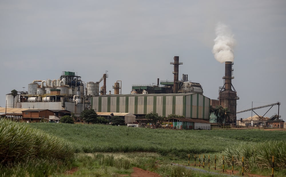 Planta de bioenergía de azúcar y etanol en Itapetininga, estado de São Paulo, Brasil. Fotógrafo: Jonne Roriz/Bloomberg
Planta de bioenergía de azúcar y etanol en Itapetininga, estado de São Paulo, Brasil. Fotógrafo: Jonne Roriz/Bloomberg