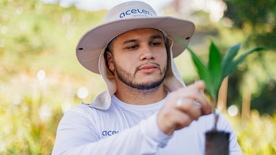 Macaúba: inovação, futuro e sustentabilidade na COP 30 Macaúba: inovação, futuro e sustentabilidade na COP 30