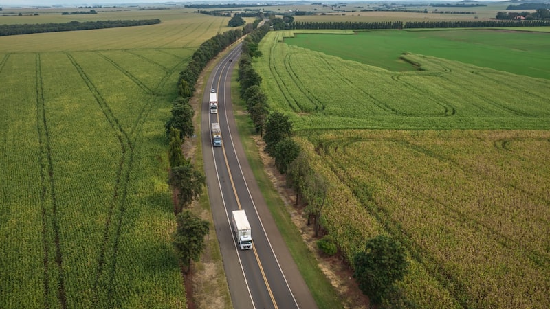 Quais as próximas ambições de Fernando Simões na Simpar, que controla JSL e Movida Quais as próximas ambições de Fernando Simões na Simpar, que controla JSL e Movida