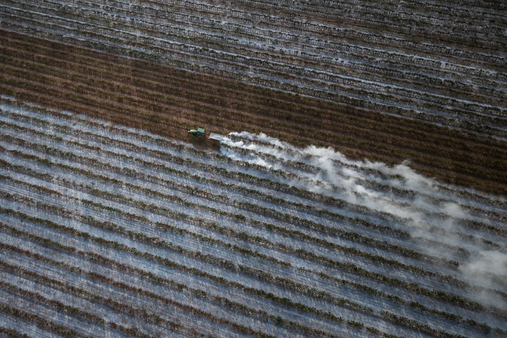 Coffee plants affected by drought in Pedregulho, Sao Paulo, Brazil, on Wednesday, Sept. 18, 2024. The worst drought in Brazils history is doing more than jeopardizing coffee, sugar and soybean crops; dead vegetation is giving way to fires, sending greenhouse gases into the atmosphere and disappearing more of the Amazon rainforest. Photographer: Tuane Fernandes/Bloomberg Coffee plants affected by drought in Pedregulho, Sao Paulo, Brazil, on Wednesday, Sept. 18, 2024. The worst drought in Brazils history is doing more than jeopardizing coffee, sugar and soybean crops; dead vegetation is giving way to fires, sending greenhouse gases into the atmosphere and disappearing more of the Amazon rainforest. Photographer: Tuane Fernandes/Bloomberg