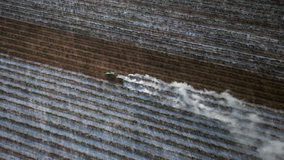 América Latina ante El Niño: Oxford Economics ve menor riesgo que en Asia y África América Latina ante El Niño: Oxford Economics ve menor riesgo que en Asia y África
