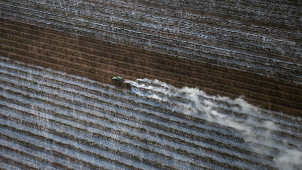 América Latina ante El Niño: Oxford Economics ve menor riesgo que en Asia y África América Latina ante El Niño: Oxford Economics ve menor riesgo que en Asia y África
