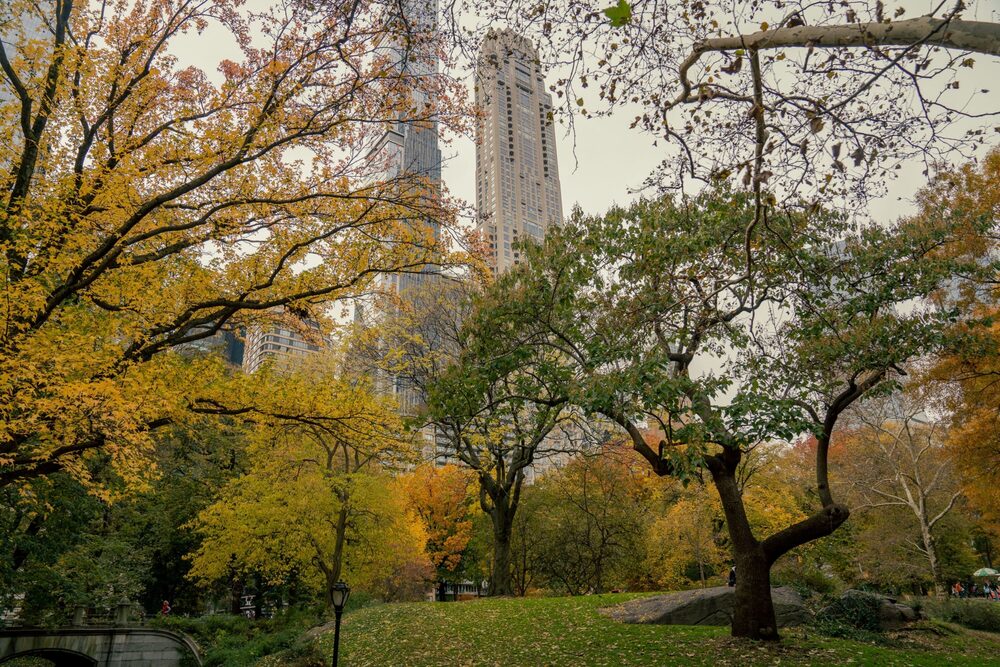 The tower at 220 Central Park South, where Ken Griffin paid a record-setting $238 million for a penthouse. Photographer: Amir Hamja/Bloomberg The tower at 220 Central Park South, where Ken Griffin paid a record-setting $238 million for a penthouse. Photographer: Amir Hamja/Bloomberg