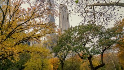 Bilionários aquecem mercado de imóveis de US$ 100 milhões nos EUA, de NY a Miami Bilionários aquecem mercado de imóveis de US$ 100 milhões nos EUA, de NY a Miami