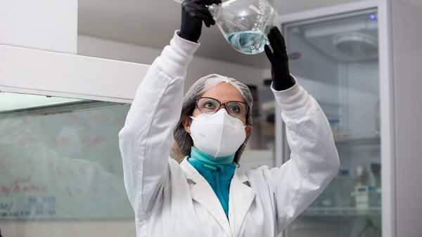 Vastas redes de hongos podrían ser clave para la lucha contra el cambio climático Vastas redes de hongos podrían ser clave para la lucha contra el cambio climático