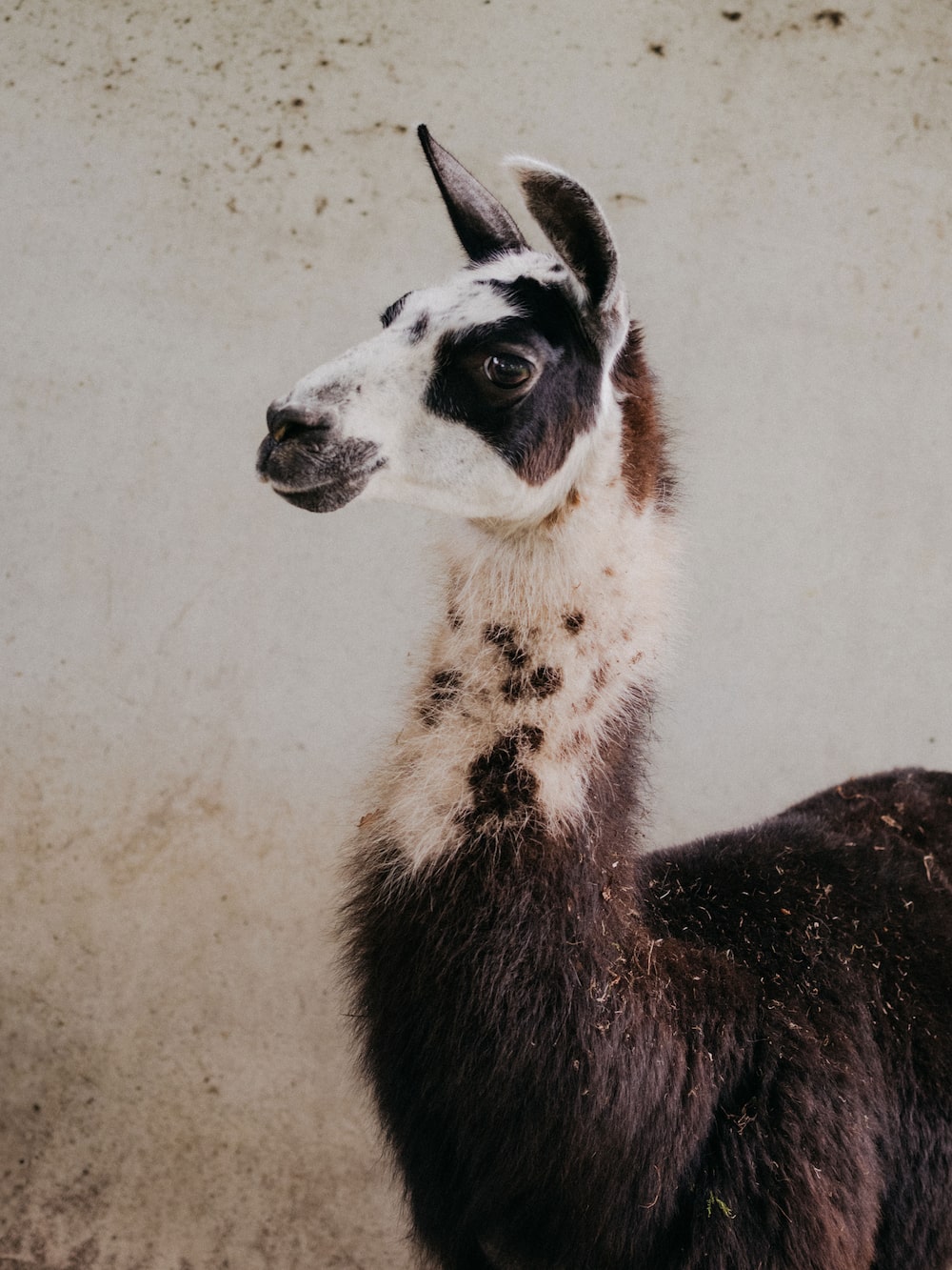 Fotógrafo: Kevin Faingnaert/Bloomberg. Fotógrafo: Kevin Faingnaert/Bloomberg.