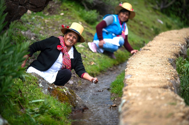 “Sembrar agua”: la técnica precolombina que lleva a un proyecto de Perú a la final de Premios Verdes 2026 “Sembrar agua”: la técnica precolombina que lleva a un proyecto de Perú a la final de Premios Verdes 2026