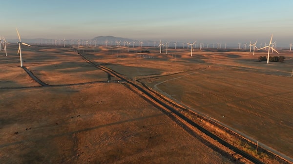 O ‘oásis urbano’ que bilionários de tech querem construir no norte da Califórnia O ‘oásis urbano’ que bilionários de tech querem construir no norte da Califórnia