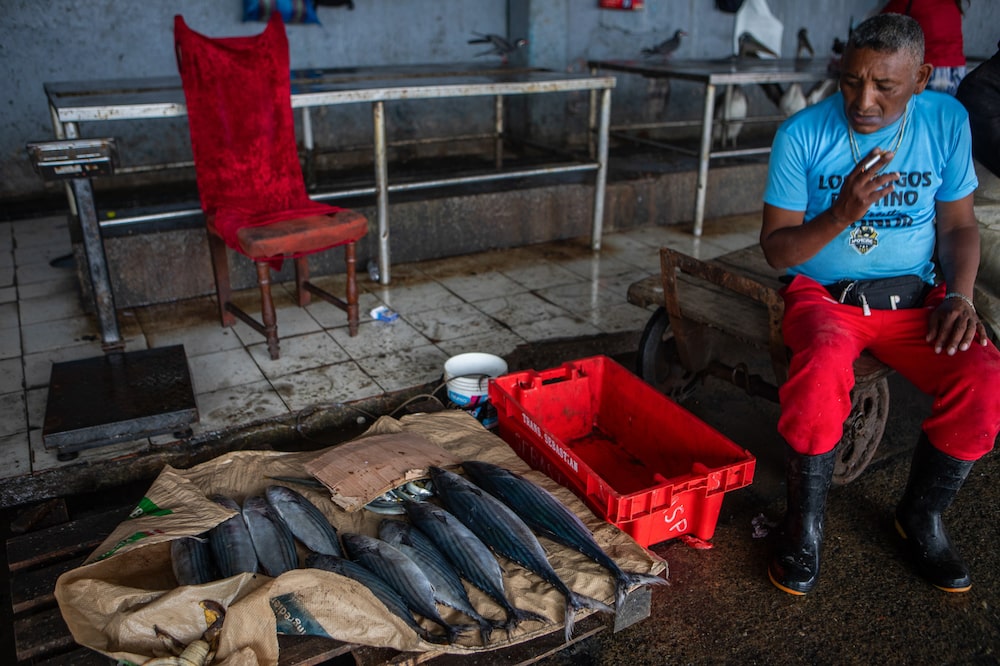 Fish at the Port of Callao in Callao, Peru, on Wednesday, July 22, 2026. Unusually high ocean waves driven by stronger winds have been disrupting the fishing sector in the past months, while a ban on anchovy fishing remains in place since May due to warming of the Pacific waters off the country's coast that makes stocks more vulnerable. Photographer: Marco Garro/Bloomberg Fish at the Port of Callao in Callao, Peru, on Wednesday, July 22, 2026. Unusually high ocean waves driven by stronger winds have been disrupting the fishing sector in the past months, while a ban on anchovy fishing remains in place since May due to warming of the Pacific waters off the country's coast that makes stocks more vulnerable. Photographer: Marco Garro/Bloomberg