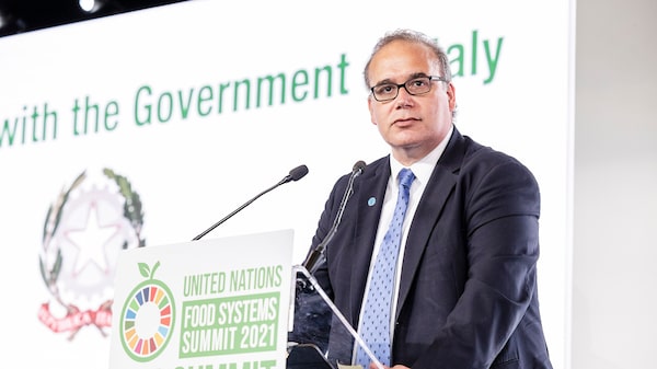 Economista jefe de la FAO: ocho acciones para vencer al hambre en Latinoamérica Economista jefe de la FAO: ocho acciones para vencer al hambre en Latinoamérica