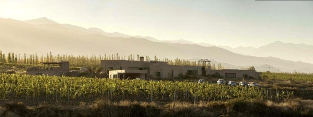 De planilhas a barricas: CEO do IOB lidera avanço de vinícola de US$ 20 mi na Argentina De planilhas a barricas: CEO do IOB lidera avanço de vinícola de US$ 20 mi na Argentina