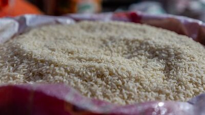 Arroz atinge o maior preço em 15 anos no mercado internacional e pressiona a inflação Arroz atinge o maior preço em 15 anos no mercado internacional e pressiona a inflação