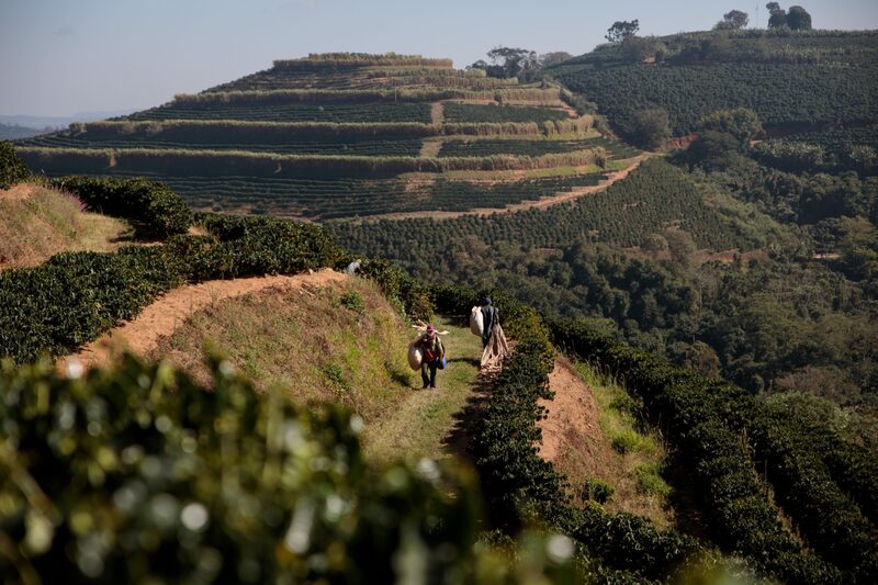 Alguns produtores de grãos do estado de Mato Grosso, o maior produtor de soja do país, nem conseguiram obter cotações de preços e estimativas de entrega de suas concessionárias de fertilizantes nos últimos três dias Alguns produtores de grãos do estado de Mato Grosso, o maior produtor de soja do país, nem conseguiram obter cotações de preços e estimativas de entrega de suas concessionárias de fertilizantes nos últimos três dias