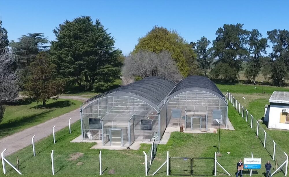 La producción se lleva a cabo en el interior de la provincia de Buenos Aires con el apoyo del INTA La producción se lleva a cabo en el interior de la provincia de Buenos Aires con el apoyo del INTA