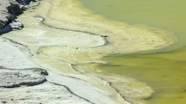 Explorador de litio Wealth Minerals apunta a inversores europeos Explorador de litio Wealth Minerals apunta a inversores europeos